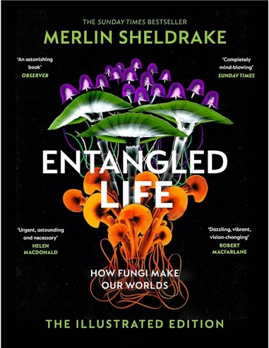 Entangled Life (the Illustrated Edition): A Beautiful New Gift Edition Featuring 100 Illustrations For Christmas 2023