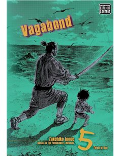 Vagabond (vizbig Edition), Vol. 5