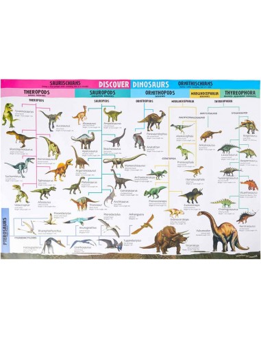 Discover Dinosaurs Educational Wall Chart