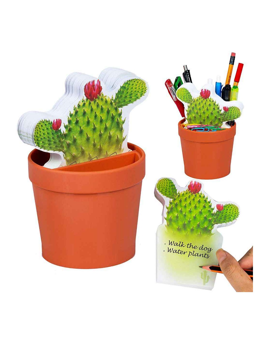 Desk Plant Cactus - Desk Tidy & Sticky Notes-Adrion LTD