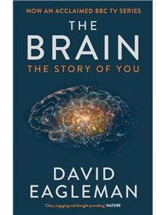 The Brain - The Story Of You